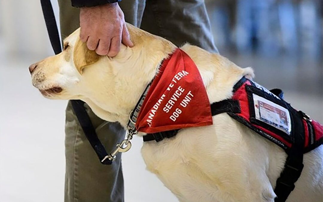 dog unit